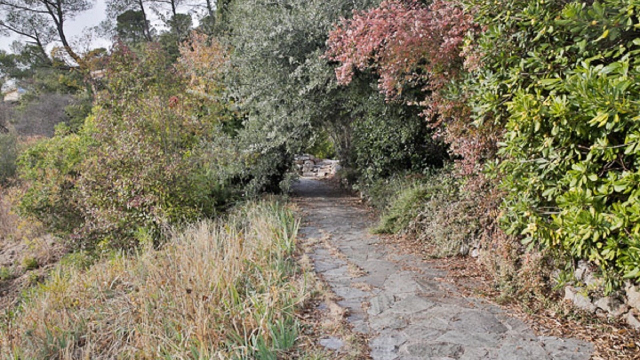 Photo of Outdoor in Meounes-les-Montrieux