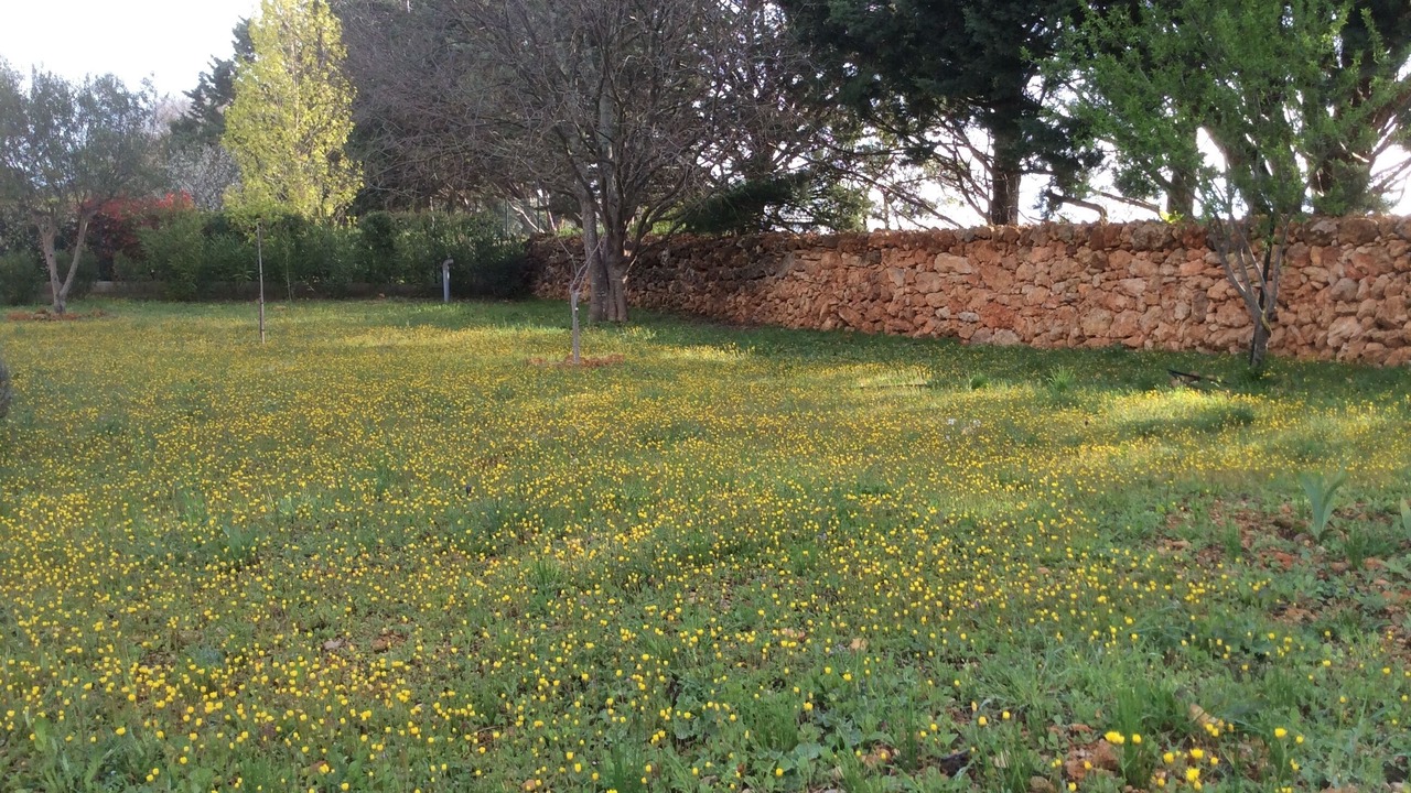 Photo of Outdoor in Montfort-sur-Argens