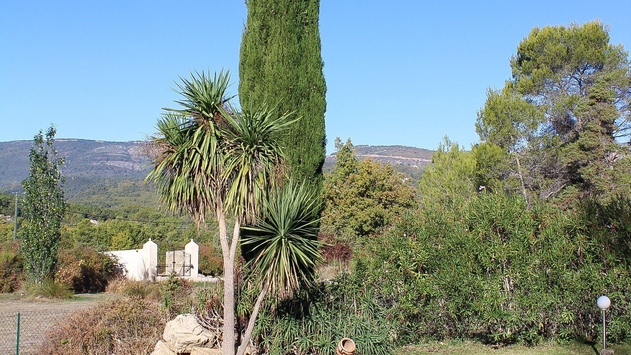 Photo of Outdoor in Tourrettes