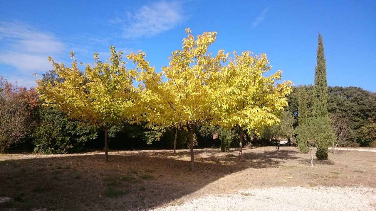 Photo of Outdoor in Vers-Pont-du-Gard
