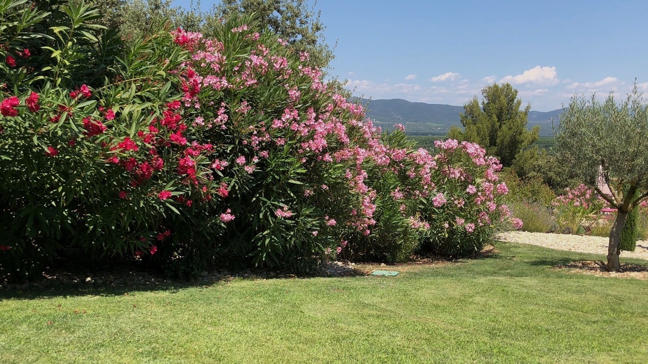 Photo of Outdoor in Pont Royal