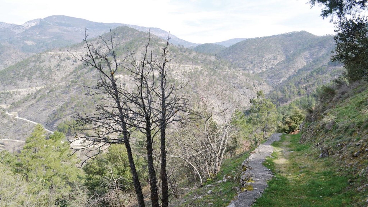 Photo of Outdoor in Pierrefeu
