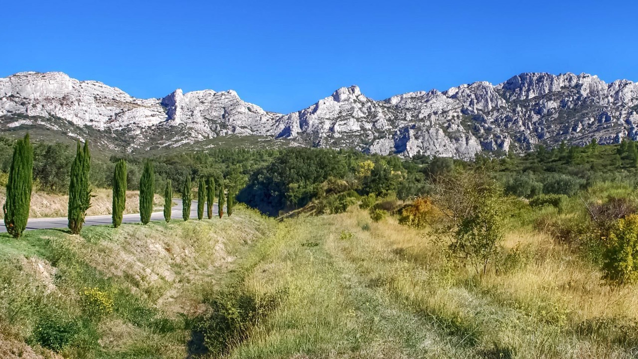 Photo of Others in St.-Remy-de-Provence