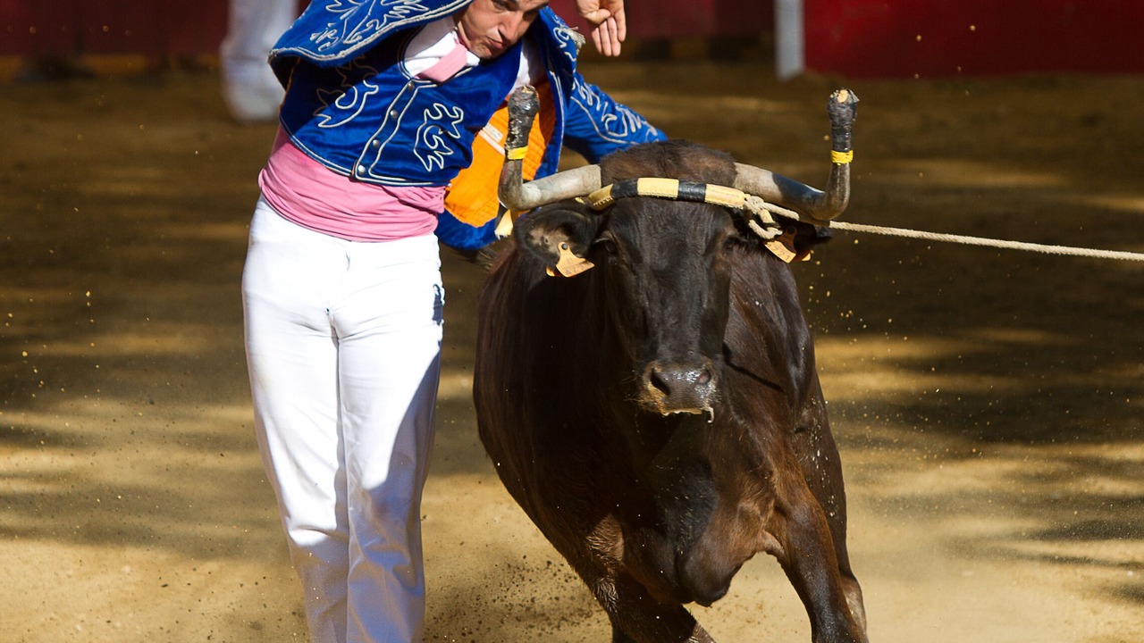 Photo of Others in Arles City Centre