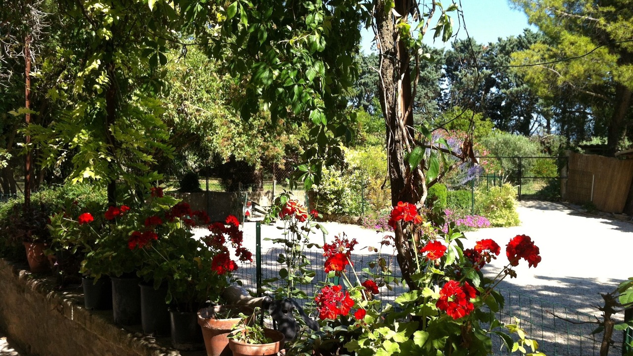 Photo of Outdoor in Robion