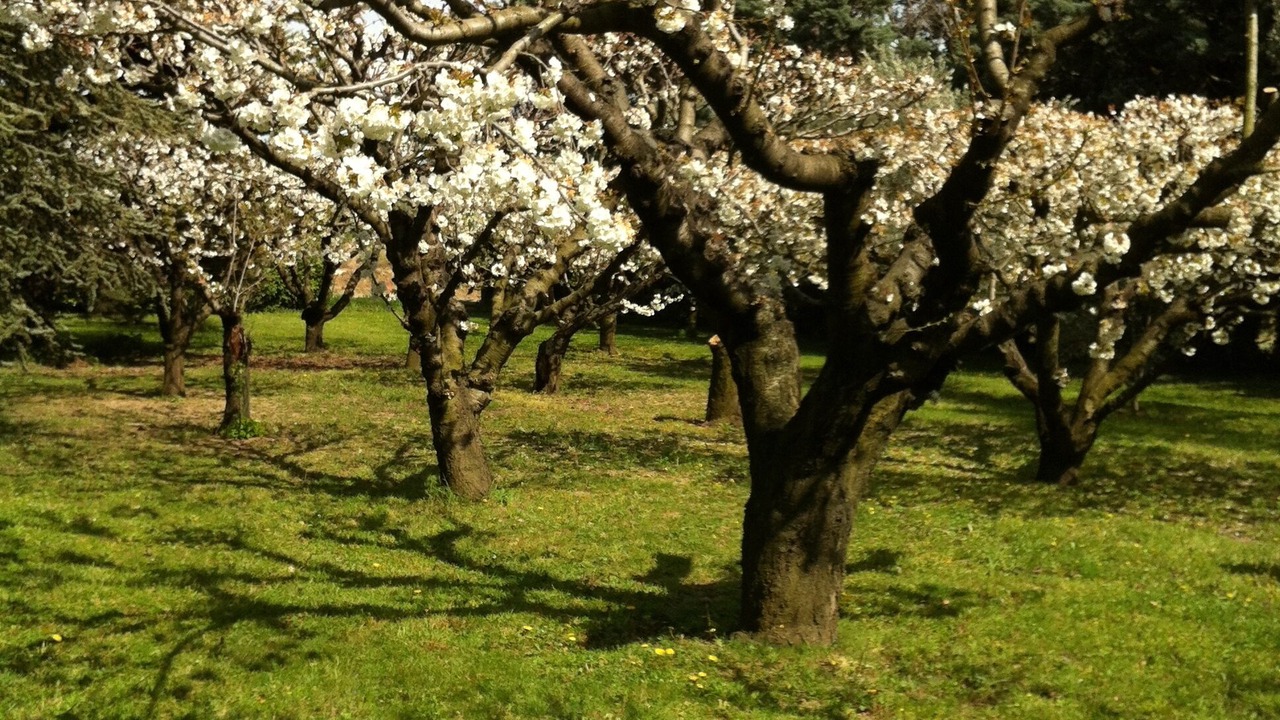 Photo of Outdoor in Robion