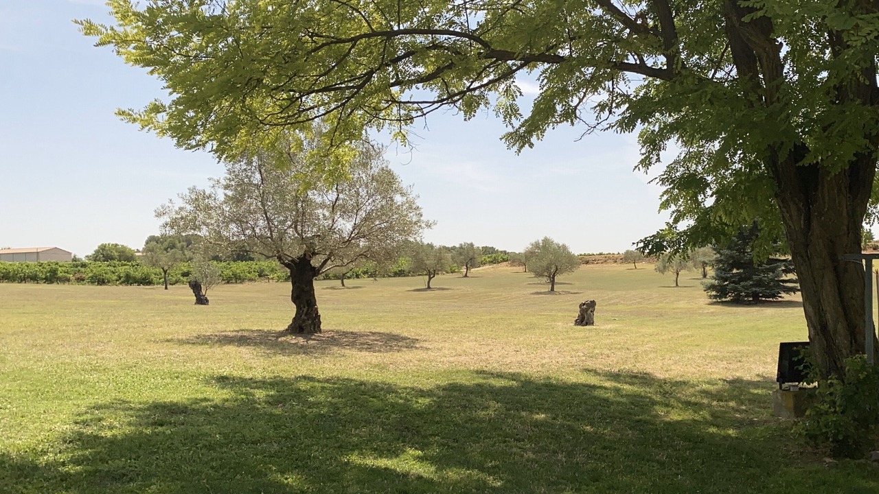 Photo of Outdoor in Pertuis
