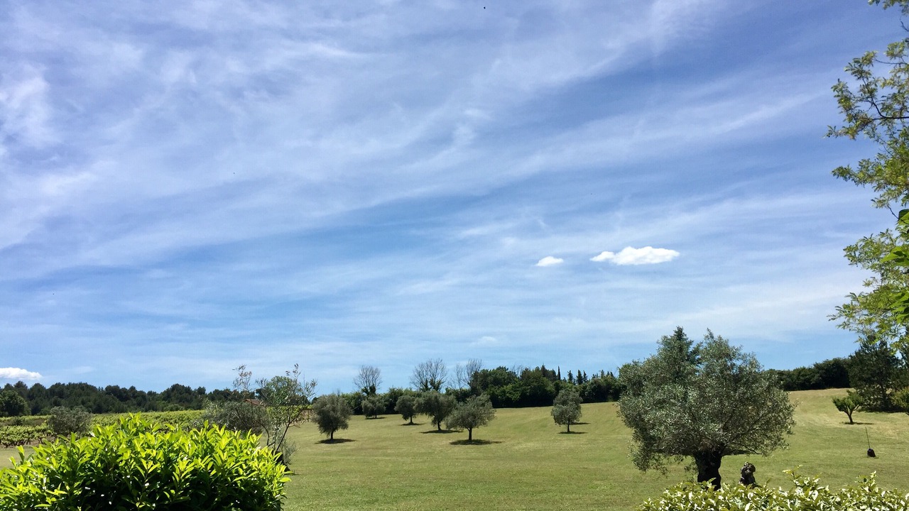 Photo of Others in Pertuis