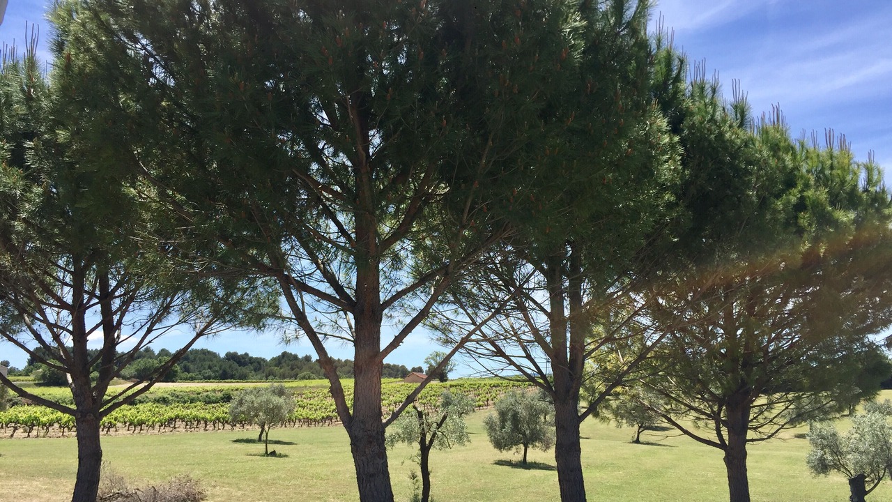 Photo of Outdoor in Pertuis