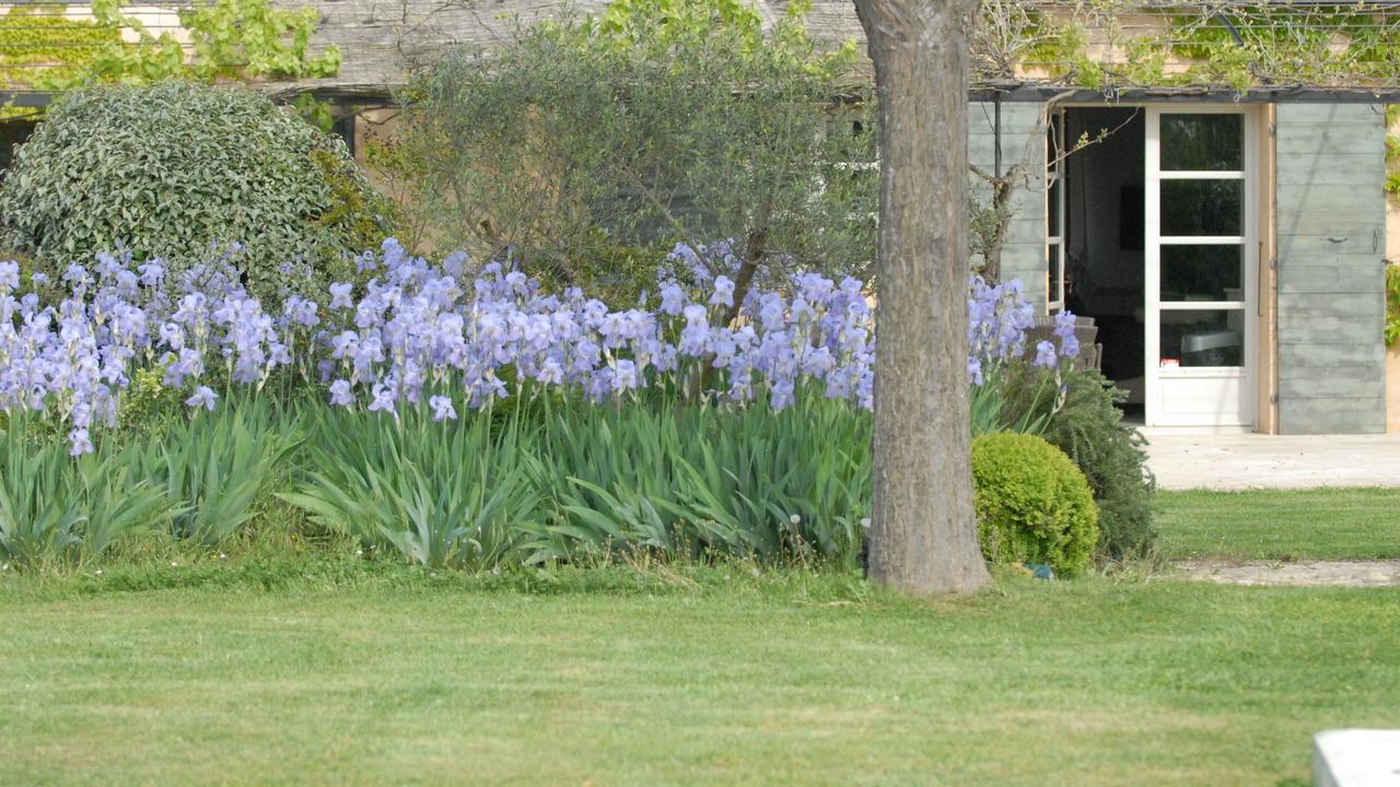Photo of Outdoor in Cabrieres-d'Avignon