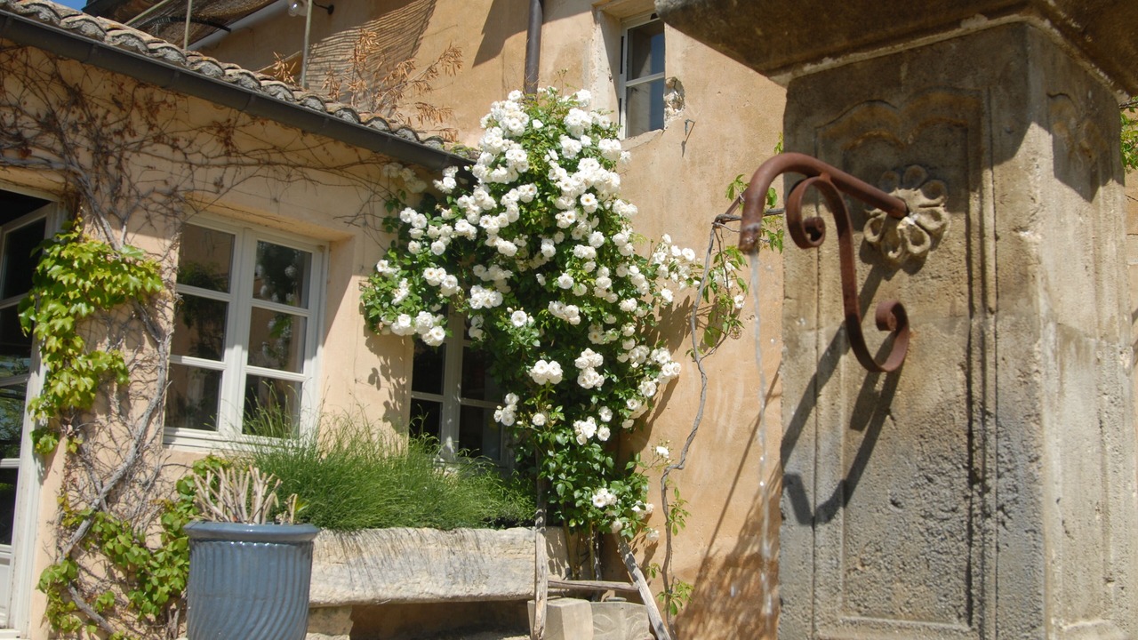 Photo of Outdoor in Cabrieres-d'Avignon