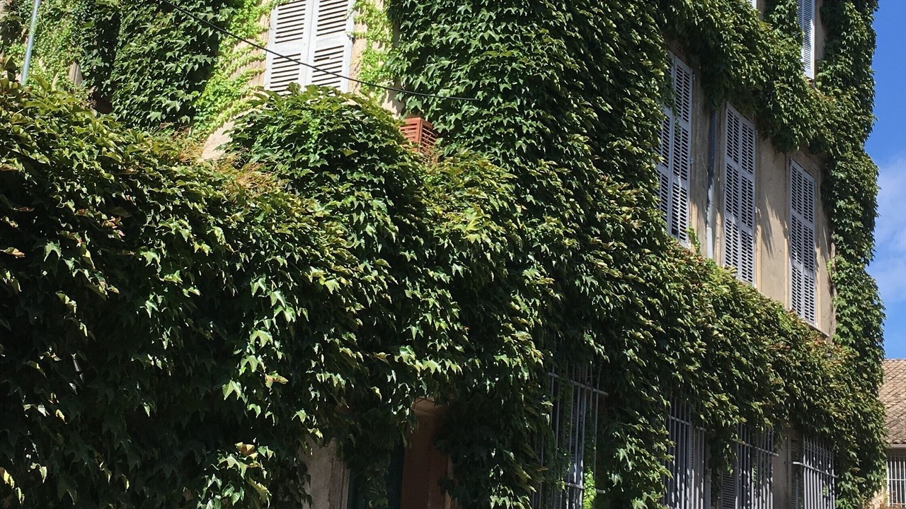 Photo of Outdoor in Avignon City Centre