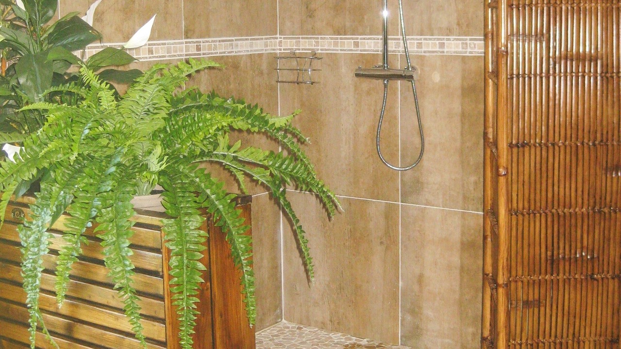 Photo of Bathroom in Arles
