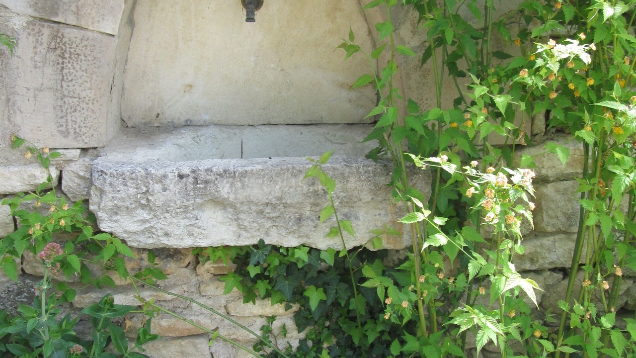 Photo of Outdoor in Menerbes
