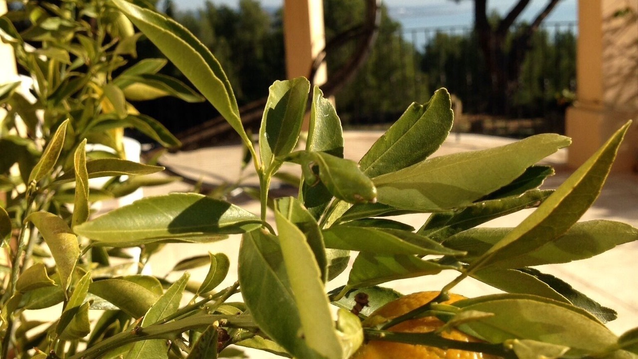 Photo of Outdoor in Istres