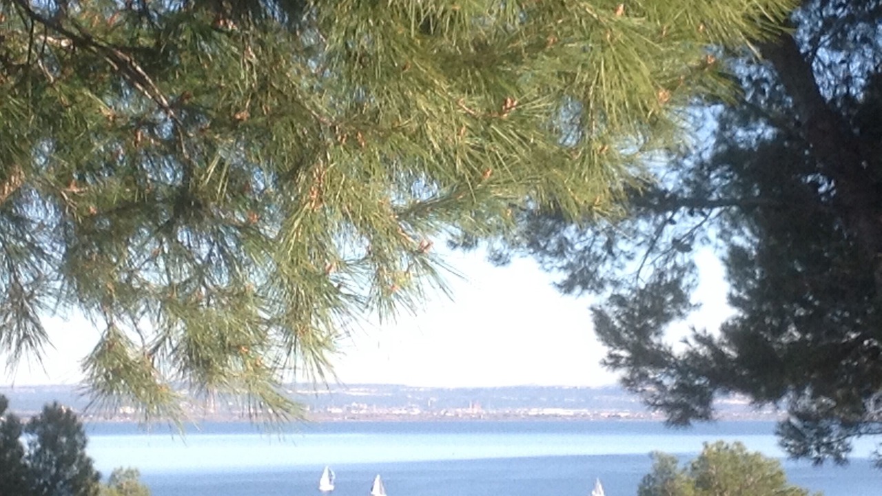 Photo of Others in Istres