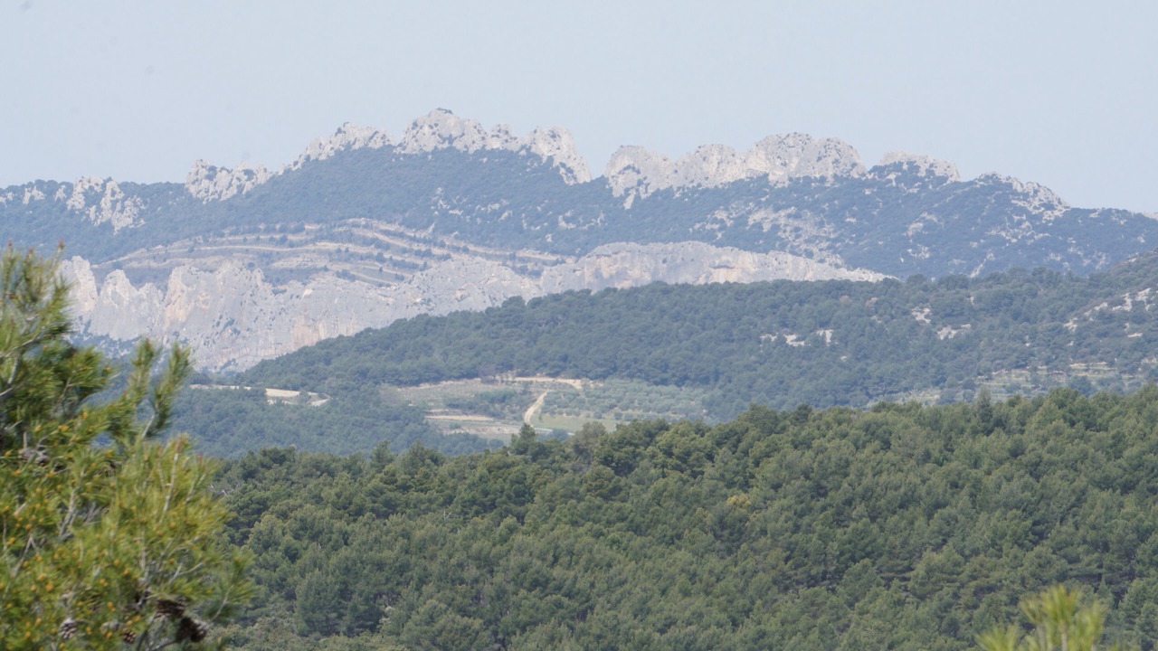 Photo of Outdoor in Crillon-le-Brave