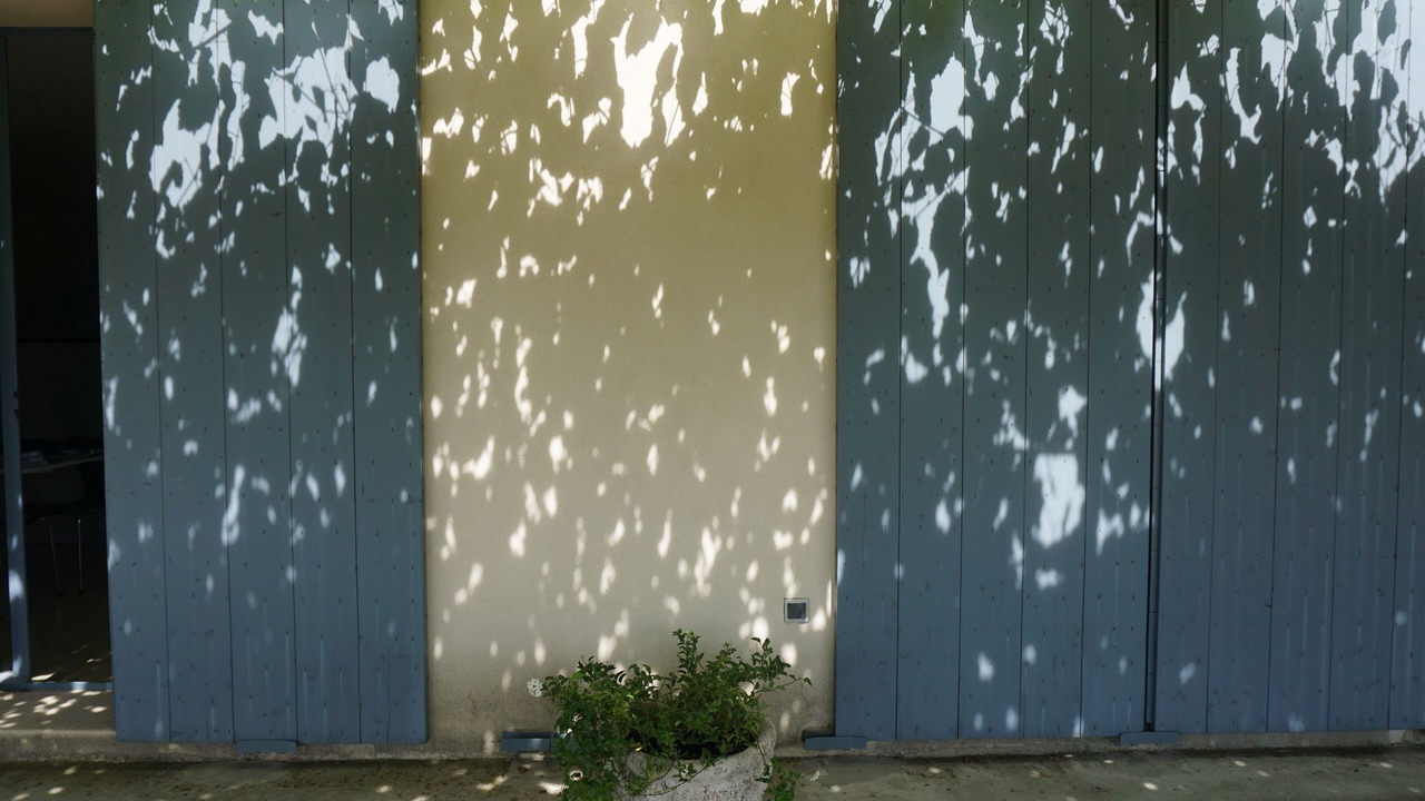 Photo of Outdoor in Crillon-le-Brave