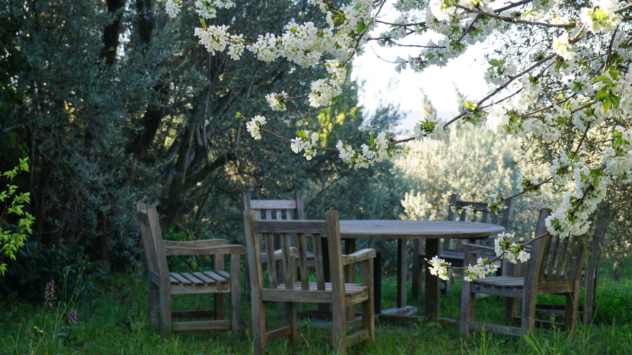 Photo of Outdoor in Crillon-le-Brave