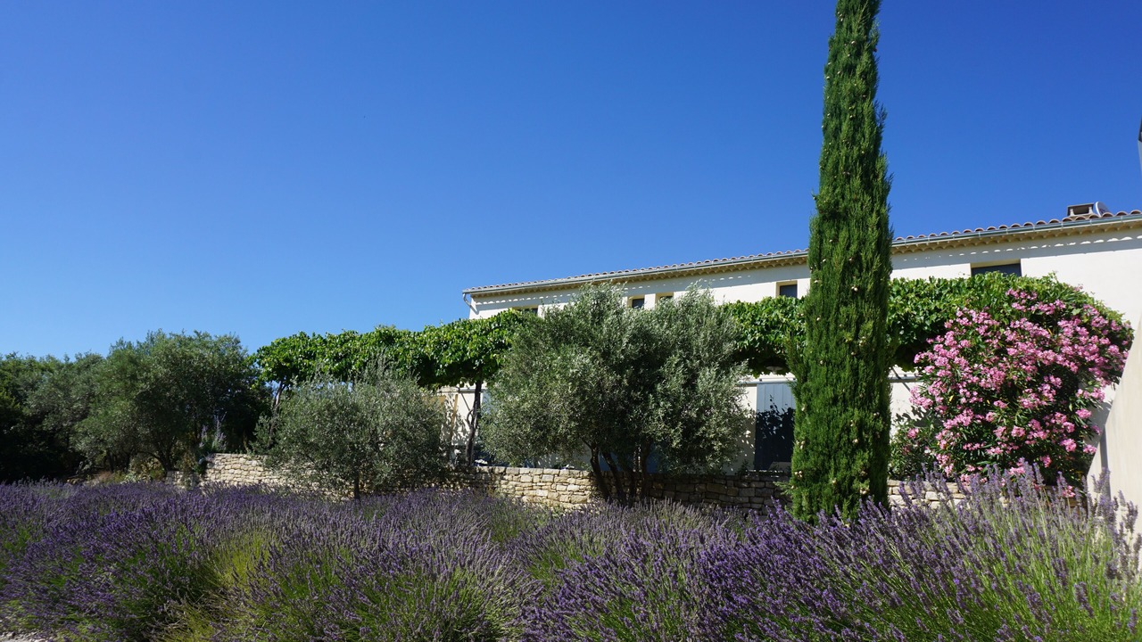 Photo of Outdoor in Crillon-le-Brave