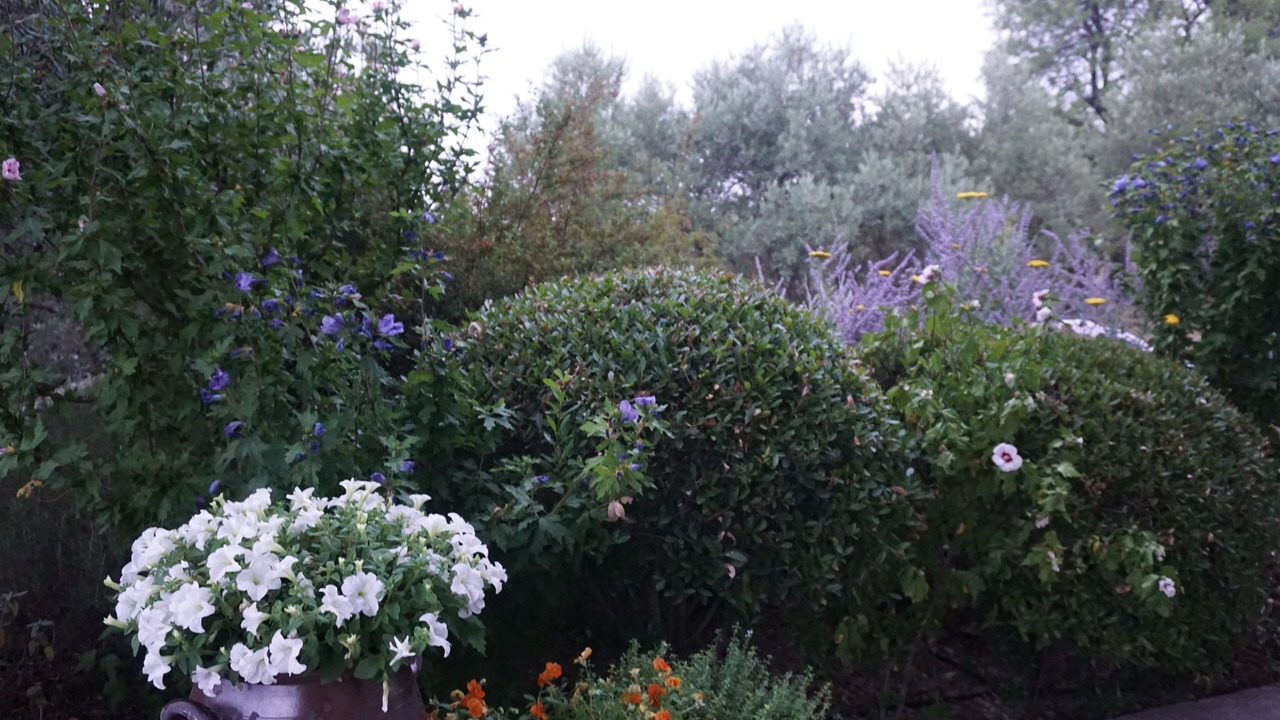 Photo of Outdoor in Crillon-le-Brave