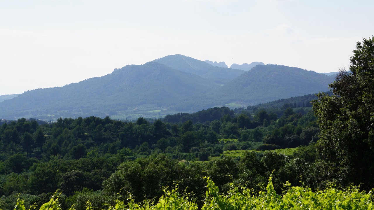 Photo of Outdoor in Crillon-le-Brave