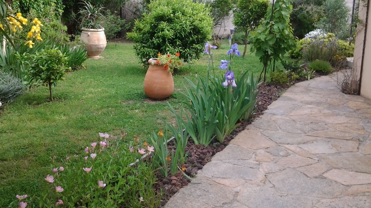 Photo of Outdoor in Les Bormettes
