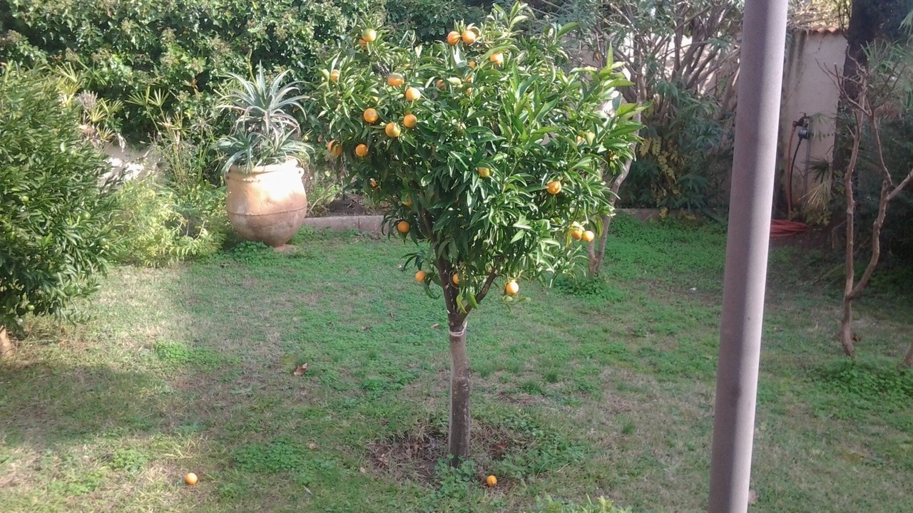 Photo of Outdoor in Les Bormettes