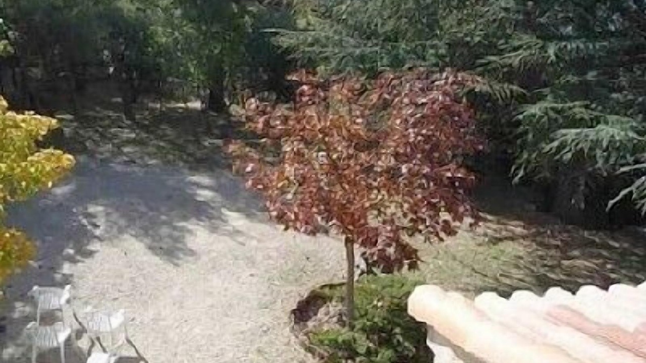 Photo of Outdoor in Plan-d'Aups-Sainte-Baume