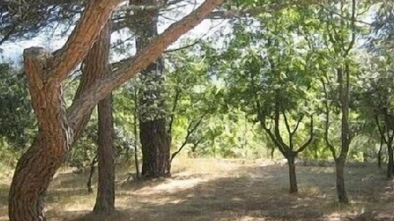 Photo of Outdoor in Plan-d'Aups-Sainte-Baume