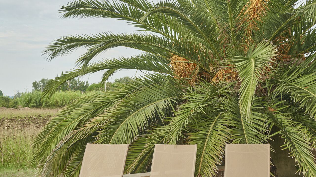 Photo of Patio Balcony in Beaucaire