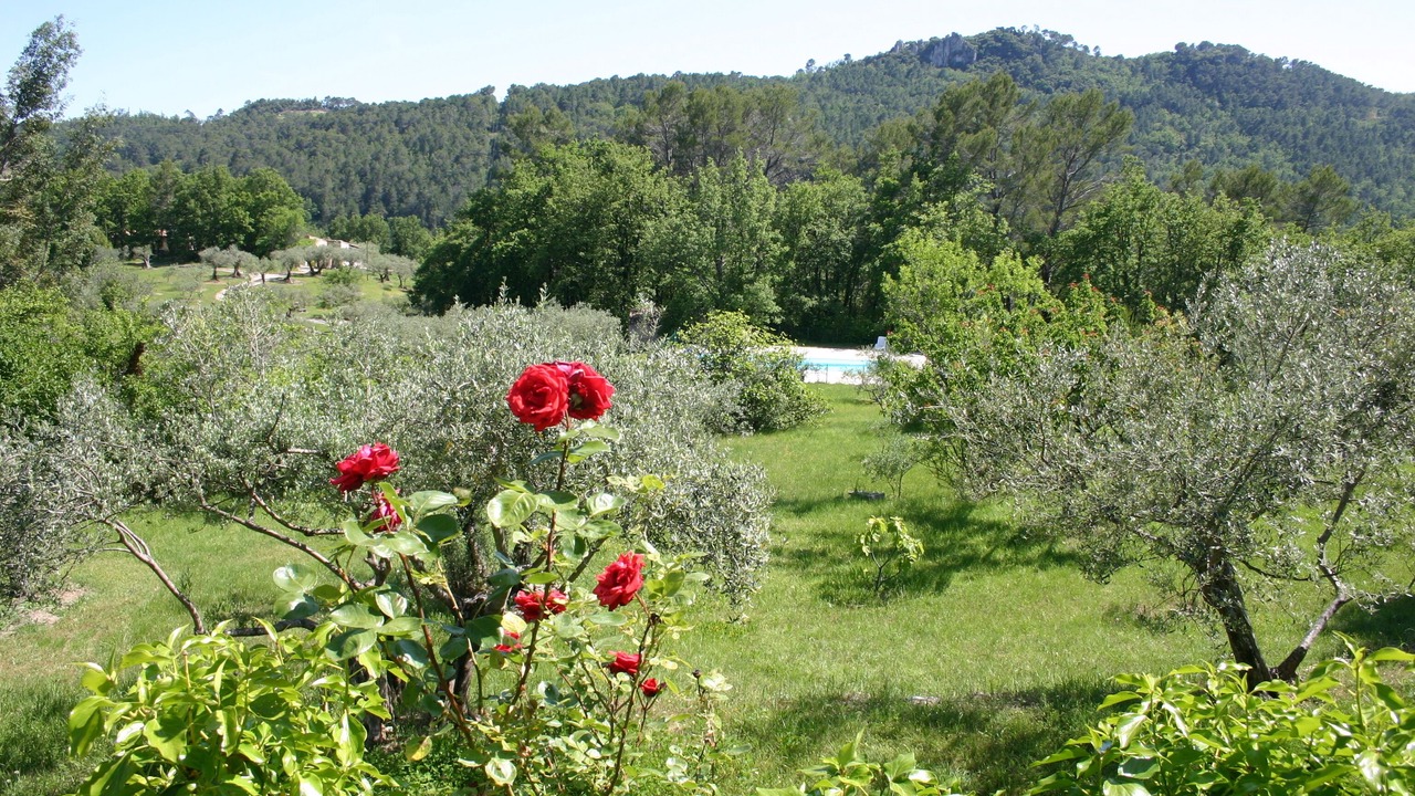 Photo of Outdoor in Chateaudouble