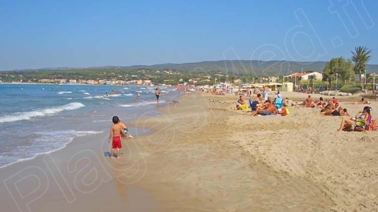 Photo of Others in Saint-Cyr-sur-Mer