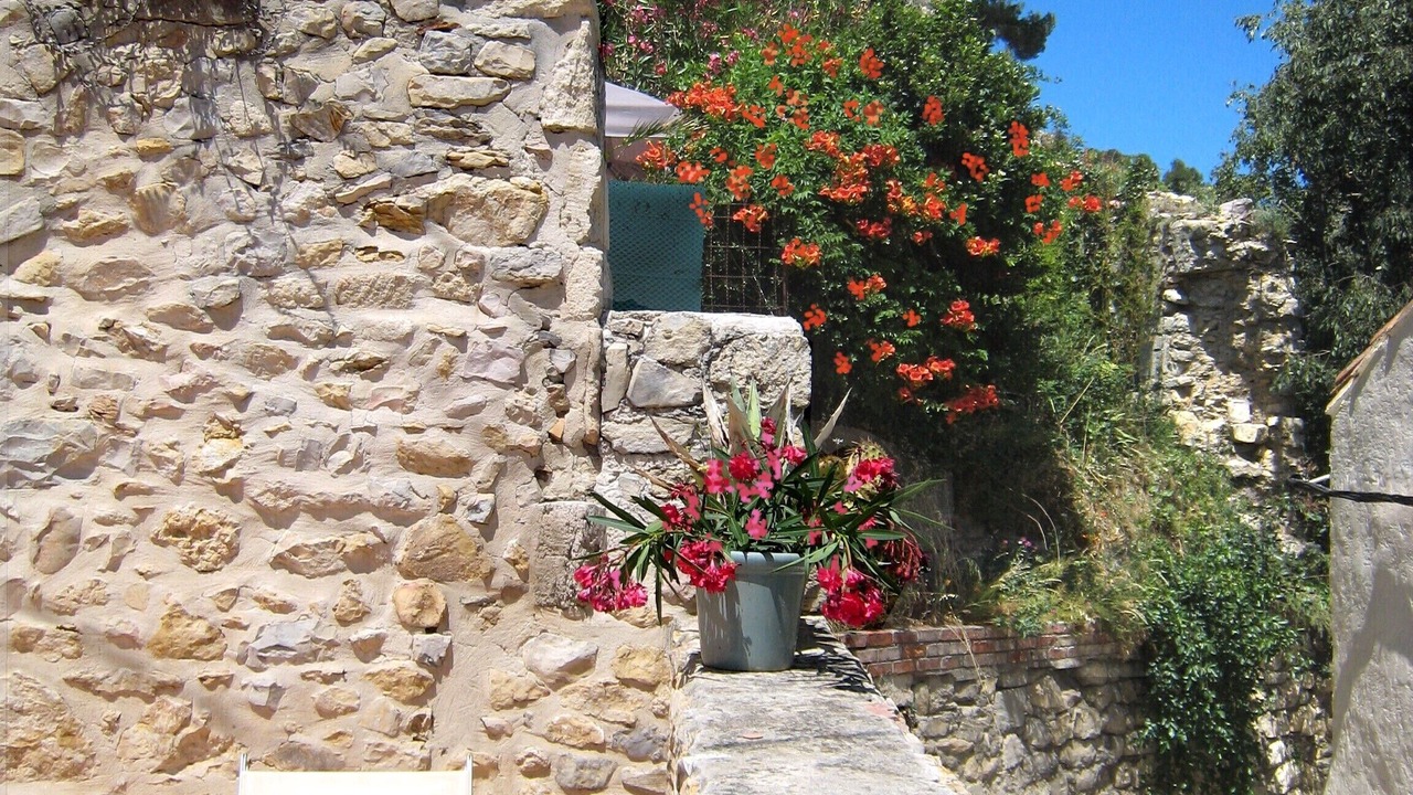 Photo of Outdoor in Boulbon