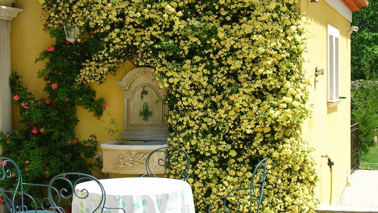 Photo of Outdoor in Draguignan