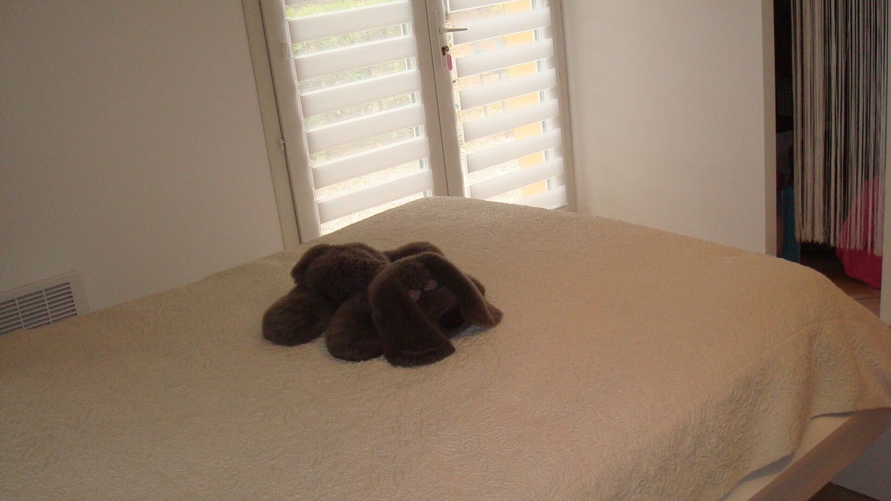 Photo of Bedroom in Draguignan