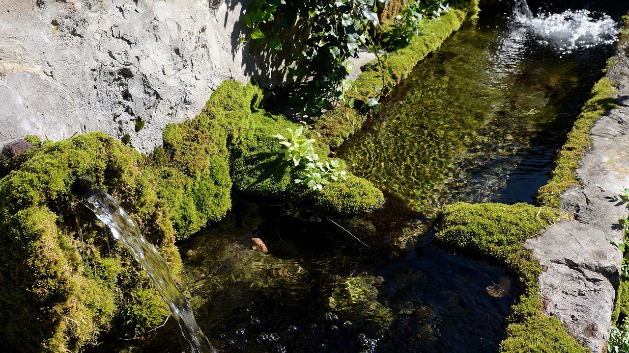 Photo of Outdoor in Vacqueyras