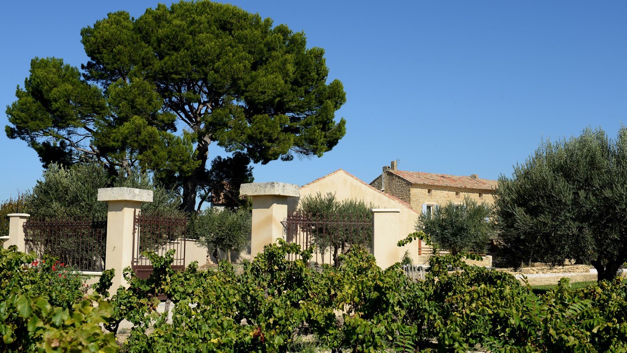 Photo of Outdoor in Vacqueyras
