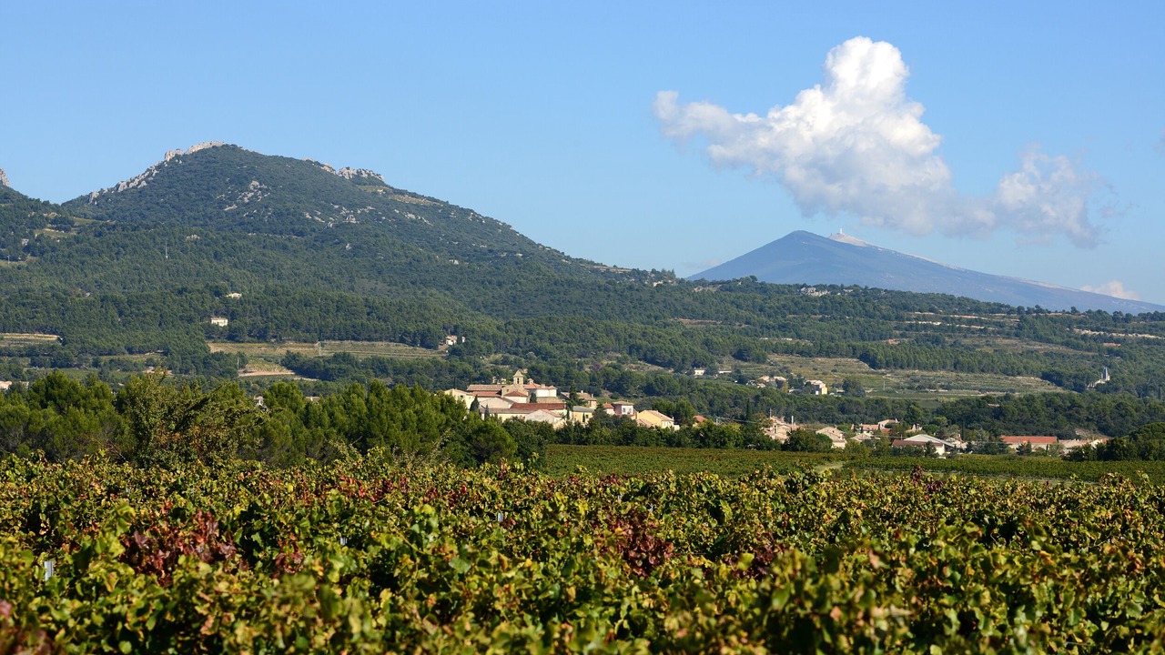 Photo of Outdoor in Vacqueyras