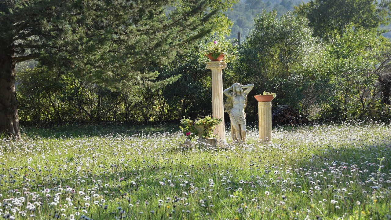 Photo of Outdoor in Cuers