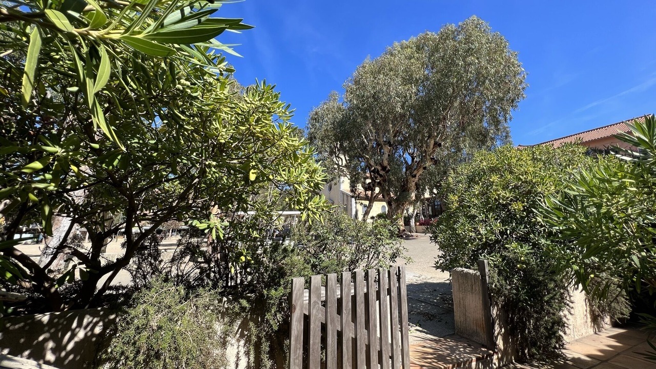 Photo of Outdoor in Porquerolles