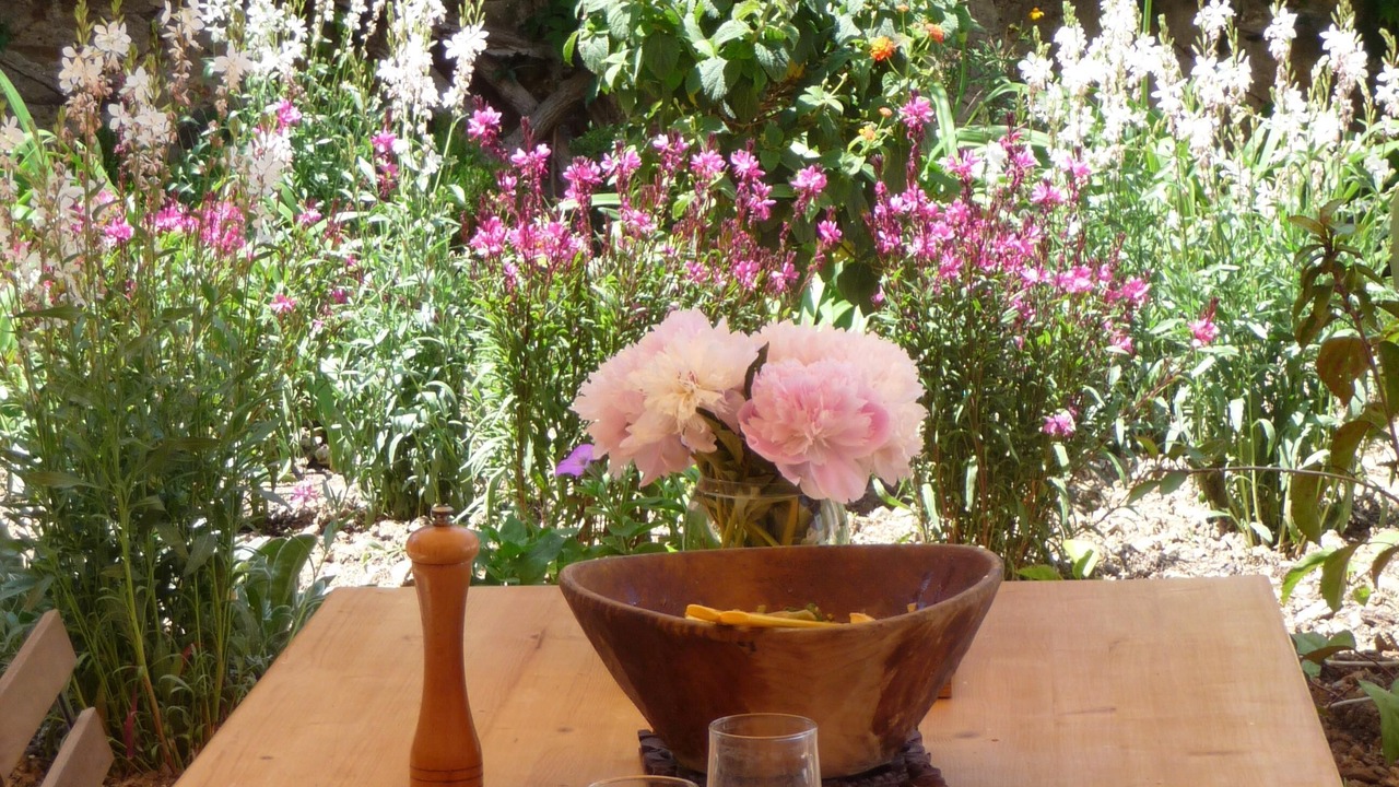 Photo of Outdoor in Porquerolles