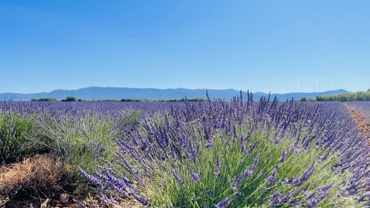 Photo of Outdoor in Montagnac-Montpezat