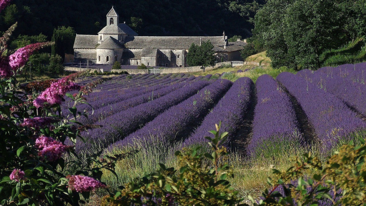 Photo of Outdoor in Saignon