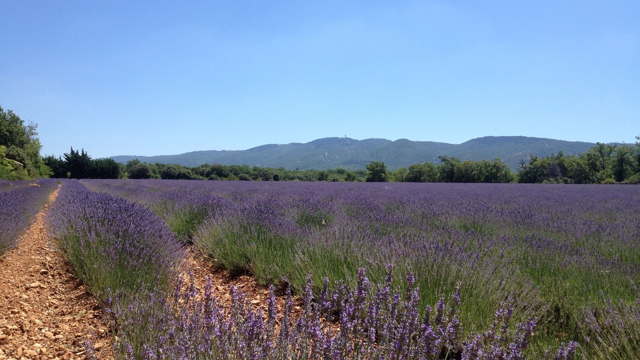 Photo of Outdoor in Saignon