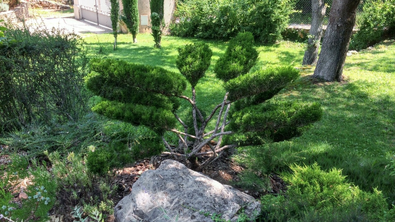 Photo of Outdoor in Saint-Maximin-la-Sainte-Baume