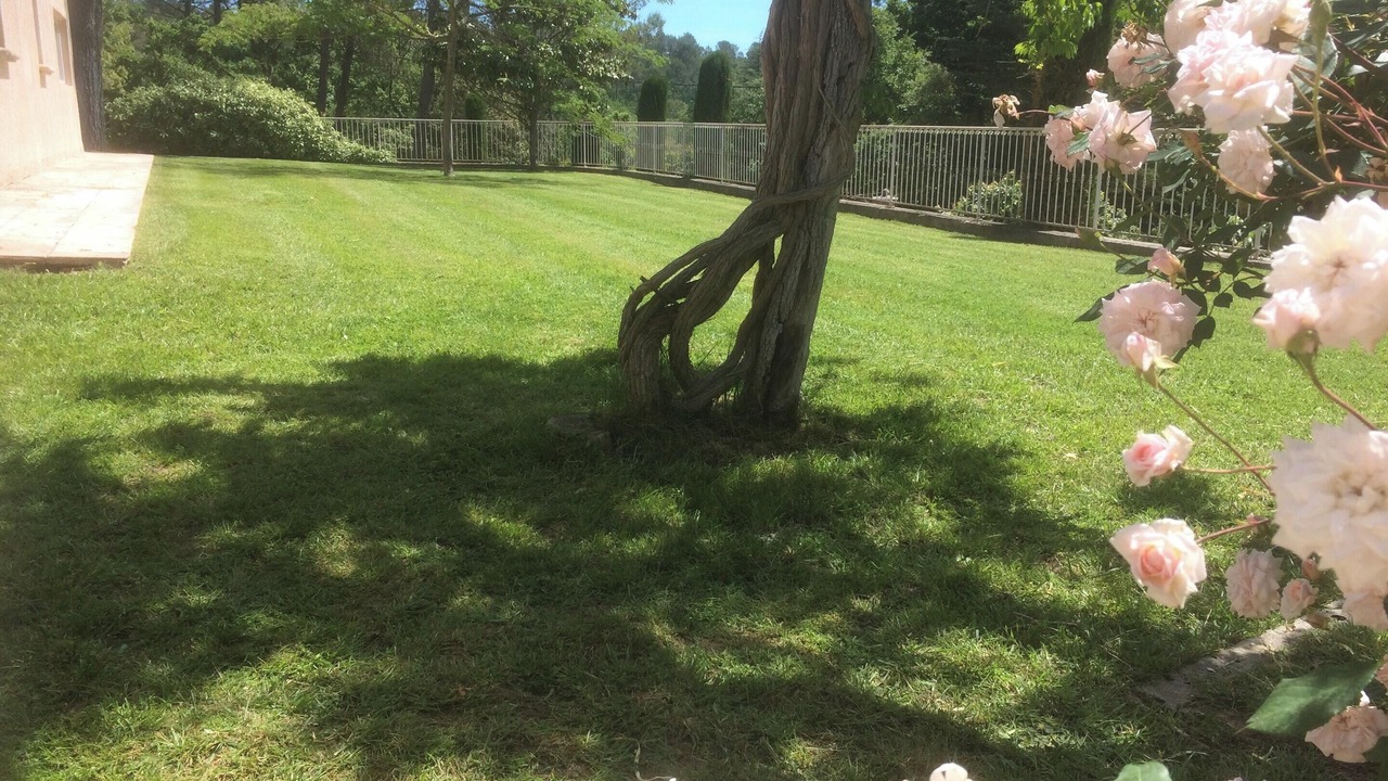 Photo of Outdoor in Saint-Maximin-la-Sainte-Baume