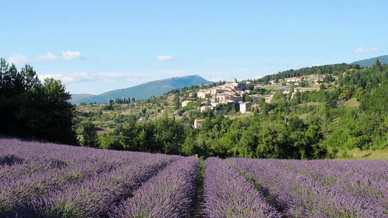 Photo of Outdoor in Aurel