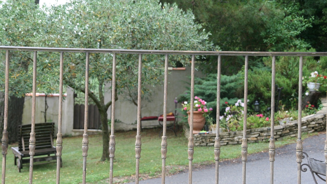 Photo of Outdoor in Comps