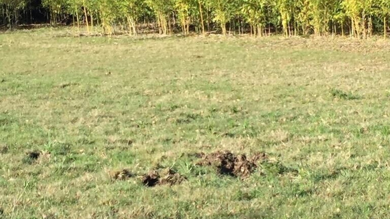 Photo of Outdoor in Menerbes